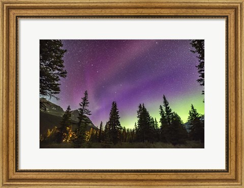 Framed Unusual STEVE Auroral Arc Across the Northern Sky at Bow LakeAlberta Print