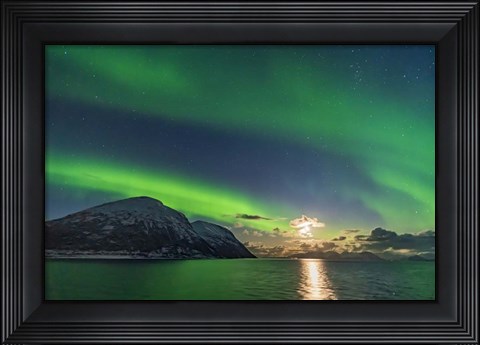 Framed Auroral Curtains Along the Norwegian Coast Print