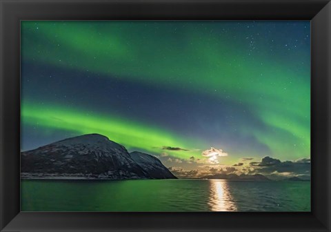 Framed Auroral Curtains Along the Norwegian Coast Print