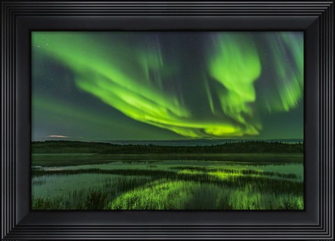 Framed Aurora Over Prosperous Lake, Near Yellowknife Print