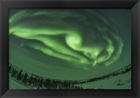 Framed Auroral Arcs, Loops and Swirls, Manitoba Print