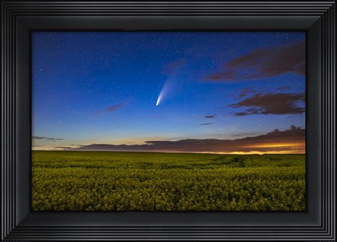 Framed Comet NEOWISE Over a Ripening Canola Field Print