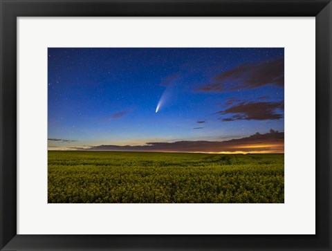 Framed Comet NEOWISE Over a Ripening Canola Field Print