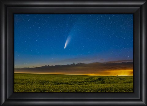 Framed Comet NEOWISE Over a Ripening Canola Field in Southern Alberta Print