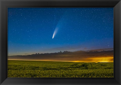 Framed Comet NEOWISE Over a Ripening Canola Field in Southern Alberta Print