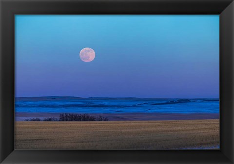 Framed Rising Full Moon Over the Alberta Prairie Print