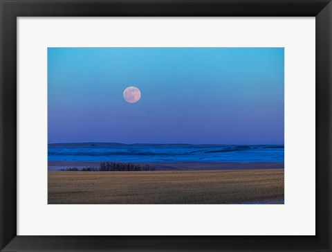 Framed Rising Full Moon Over the Alberta Prairie Print