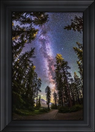 Framed Summer Milky Way With Through Pine Trees Print