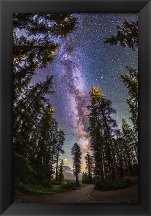 Framed Summer Milky Way With Through Pine Trees Print