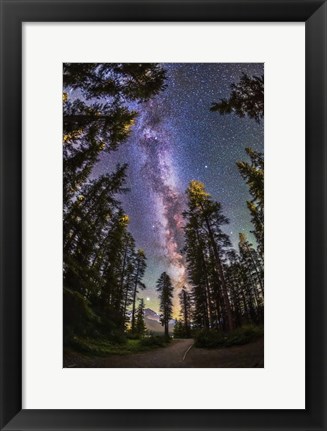 Framed Summer Milky Way With Through Pine Trees Print