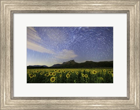 Framed Star Trails Among the Passing Clouds Above a Sunflower Filed Near Bangkok, Thailand Print