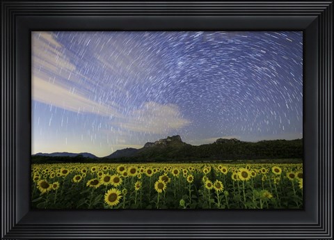 Framed Star Trails Among the Passing Clouds Above a Sunflower Filed Near Bangkok, Thailand Print