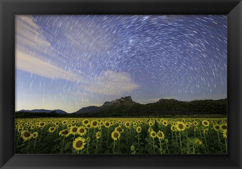 Framed Star Trails Among the Passing Clouds Above a Sunflower Filed Near Bangkok, Thailand Print