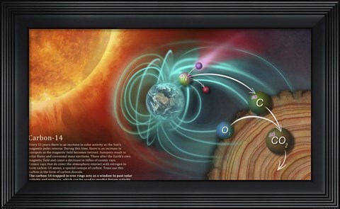 Framed Illustration Depicting the Creation of Carbon-14 and How It Becomes Locked in Tree Rings Print