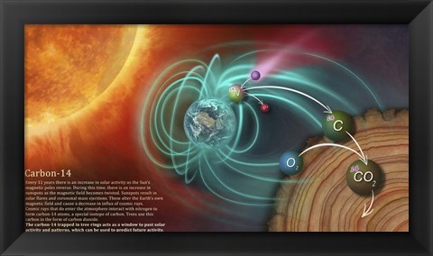 Framed Illustration Depicting the Creation of Carbon-14 and How It Becomes Locked in Tree Rings Print