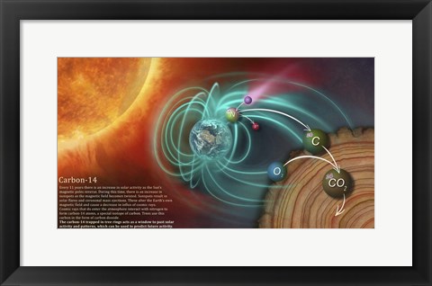 Framed Illustration Depicting the Creation of Carbon-14 and How It Becomes Locked in Tree Rings Print