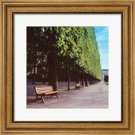 Framed French Jardin No. 9 Print