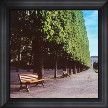 Framed French Jardin No. 9 Print