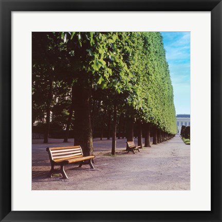 Framed French Jardin No. 9 Print