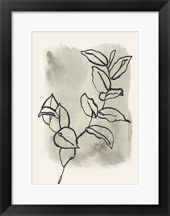 Framed Branch Sketch Print