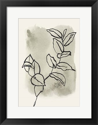 Framed Branch Sketch Print