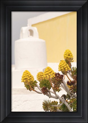 Framed Greek Details Print