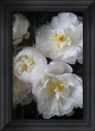 Framed Paris Bloom - Market Flowers Print