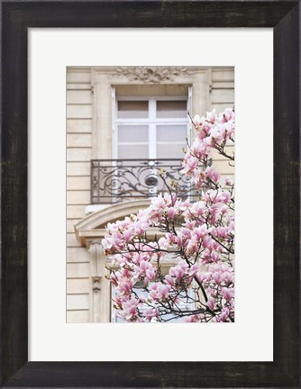 Framed Spring Magnolias in Paris Print
