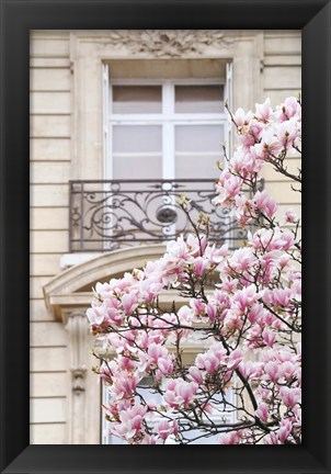 Framed Spring Magnolias in Paris Print