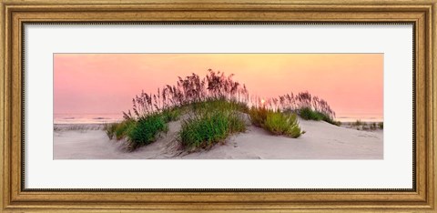 Framed Sea Oats Sun Print