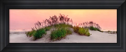 Framed Sea Oats Sun Print