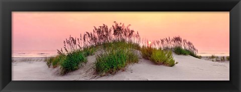 Framed Sea Oats Sun Print