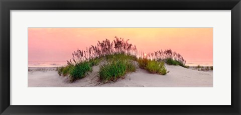 Framed Sea Oats Sun Print