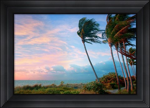 Framed Seabreeze Print