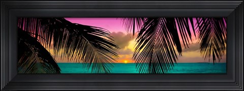 Framed Sun Palms Print