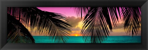 Framed Sun Palms Print