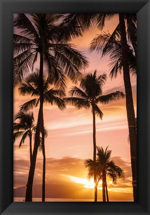 Framed Palm Trees At Sunset Of Maui, Hawaii Print