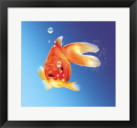 Framed Goldfish With Water Bubbles Print