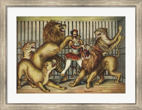 Framed Lion Tamer in Cage with Lions and Tigers Print
