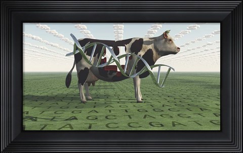 Framed GMO Business Cow Print