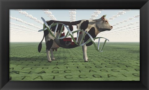 Framed GMO Business Cow Print