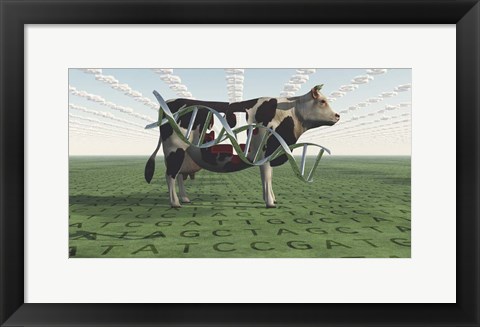 Framed GMO Business Cow Print