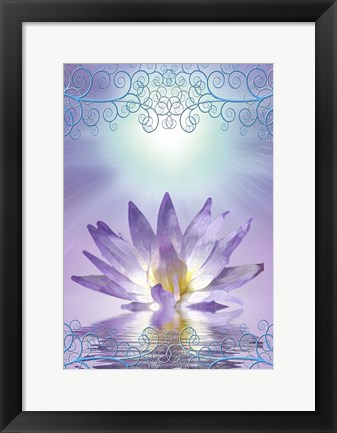 Framed Lotus With Decorative Edging Print