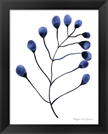 Framed Silhouette of Nature II Print