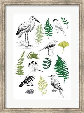 Framed Nature Chart I Print