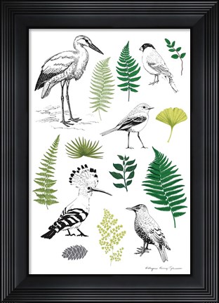 Framed Nature Chart I Print