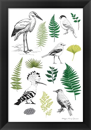 Framed Nature Chart I Print