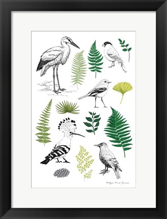 Framed Nature Chart I Print