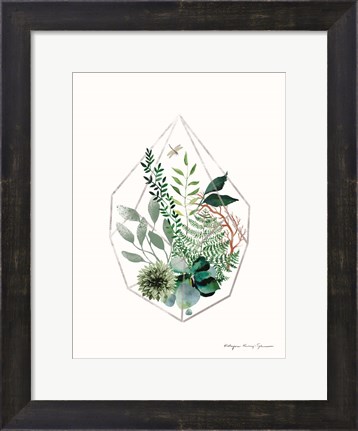 Framed Terrarium Print