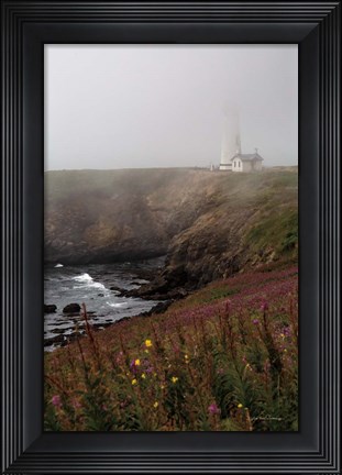 Framed Coastal Fog IV Print